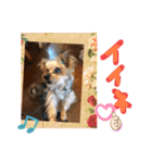 My Friend (=^x^=)（個別スタンプ：5）