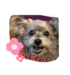 My Friend (=^x^=)（個別スタンプ：6）