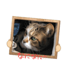 My Friend (=^x^=)（個別スタンプ：8）