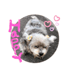 My Friend (=^x^=)（個別スタンプ：9）