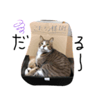My Friend (=^x^=)（個別スタンプ：13）
