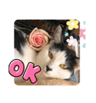 My Friend (=^x^=)（個別スタンプ：18）