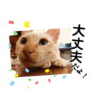 My Friend (=^x^=)（個別スタンプ：19）