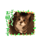 My Friend (=^x^=)（個別スタンプ：20）