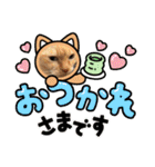 My Friend (=^x^=)（個別スタンプ：24）