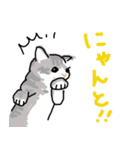 サバトラ子キジトラ子（個別スタンプ：1）