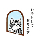 サバトラ子キジトラ子（個別スタンプ：4）