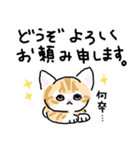 サバトラ子キジトラ子（個別スタンプ：6）