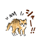 サバトラ子キジトラ子（個別スタンプ：9）