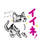 サバトラ子キジトラ子（個別スタンプ：11）