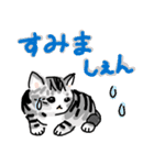 サバトラ子キジトラ子（個別スタンプ：13）