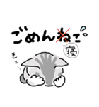 サバトラ子キジトラ子（個別スタンプ：15）