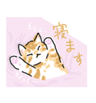 サバトラ子キジトラ子（個別スタンプ：17）