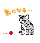 サバトラ子キジトラ子（個別スタンプ：18）