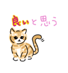 サバトラ子キジトラ子（個別スタンプ：19）