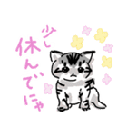 サバトラ子キジトラ子（個別スタンプ：22）
