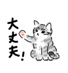 サバトラ子キジトラ子（個別スタンプ：23）