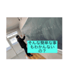 中間伊達平岡仲良し3人組スタンプ（個別スタンプ：9）