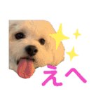 じゅにあせいじほうせいだよ2（個別スタンプ：12）