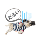 じゅにあせいじほうせいだよ2（個別スタンプ：24）
