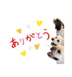 じゅにあせいじほうせいだよ2（個別スタンプ：28）