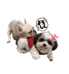 じゅにあせいじほうせいだよ2（個別スタンプ：32）
