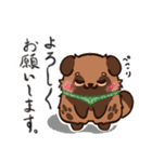 まめたぬき（個別スタンプ：27）