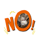 犬と猫のいる暮らし♪♪（個別スタンプ：14）