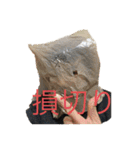 ビニール袋マンの株式投資家向けスタンプ（個別スタンプ：18）