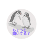 神在月のペンギンスタンプ5（個別スタンプ：7）