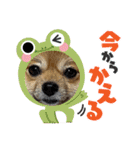 ガルルなな2（個別スタンプ：6）