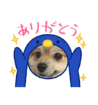 ガルルなな2（個別スタンプ：10）