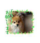 ガルルなな2（個別スタンプ：11）