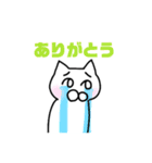 シロ猫さん（個別スタンプ：17）
