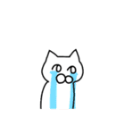 シロ猫さん（個別スタンプ：25）