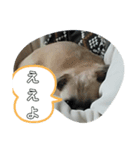 ちょびスタンプChyobi stump 2（個別スタンプ：7）