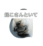 ちょびスタンプChyobi stump 2（個別スタンプ：8）