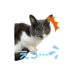 ルルとアル（個別スタンプ：2）