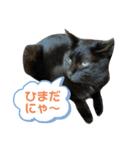 ルルとアル（個別スタンプ：4）