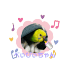 moco moco bird 孝之助2（個別スタンプ：9）