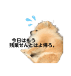 あざとい、こてつ 第二弾（個別スタンプ：7）