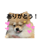 あざとい、こてつ 第二弾（個別スタンプ：9）