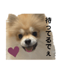 あざとい、こてつ 第二弾（個別スタンプ：26）