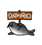 アザラシ日常スタンプ（個別スタンプ：4）