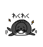 アザラシ日常スタンプ（個別スタンプ：5）