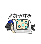 アザラシ日常スタンプ（個別スタンプ：14）