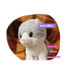 にゃにゃ！？（個別スタンプ：7）
