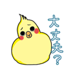 オカメインコのミミちゃん（個別スタンプ：11）