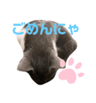 ルルとアル②（個別スタンプ：4）