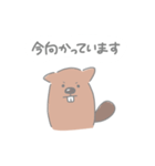 ビーバーのバビくん 敬語（個別スタンプ：16）